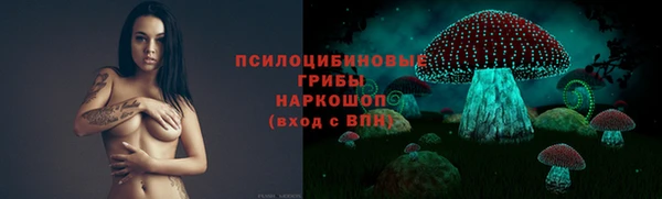 прущие грибы Алексин