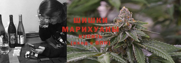 прущие грибы Алексин