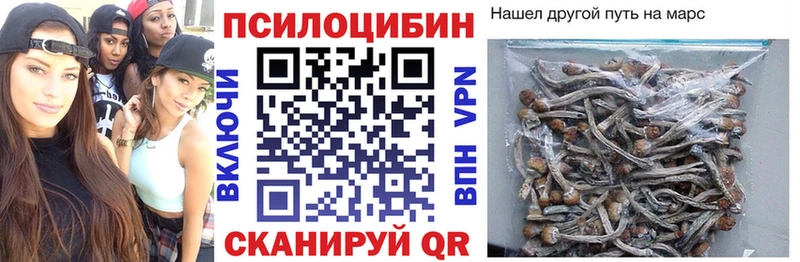Псилоцибиновые грибы Psilocybe  наркошоп  Олонец 