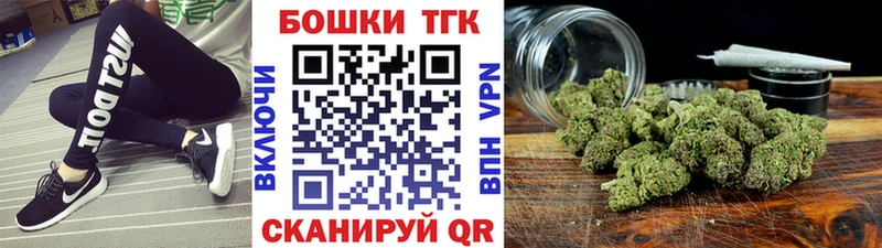 Бошки Шишки Amnesia  OMG вход  Олонец 